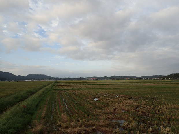 f0214649_1494949.jpg
