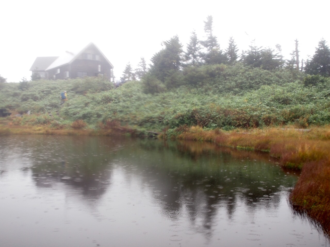 c0321967_21514190.jpeg