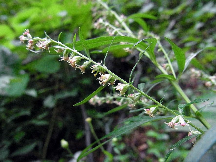 f0131669_0132947.jpg