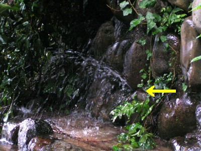 c0112172_22374328.jpg