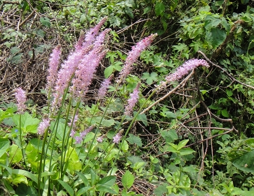f0372285_22314554.jpg