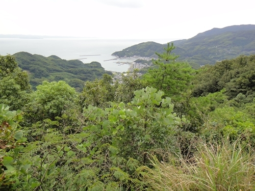 f0372285_22322489.jpg