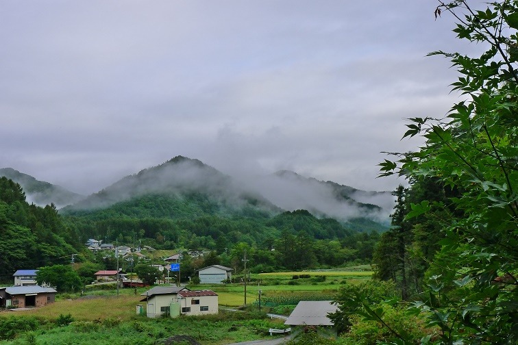 a0130586_753265.jpg