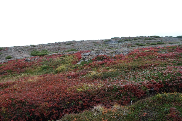 a0133886_170873.jpg