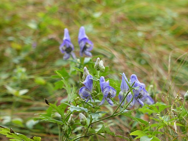 f0357487_2127025.jpg