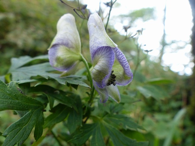 f0357487_21271442.jpg