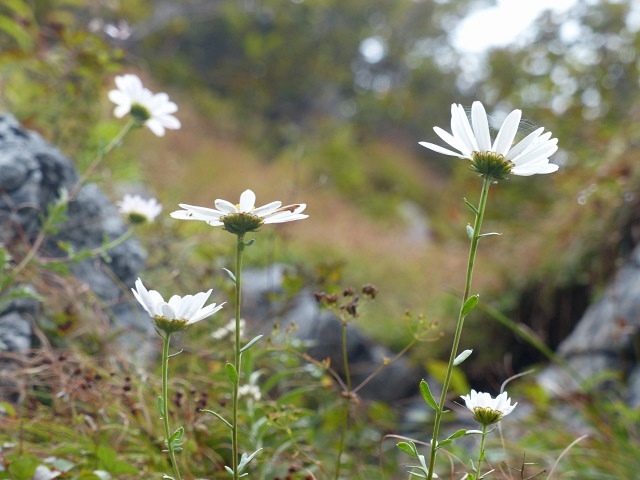 f0357487_21281935.jpg
