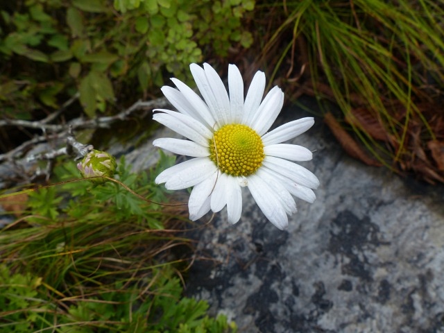 f0357487_21283674.jpg