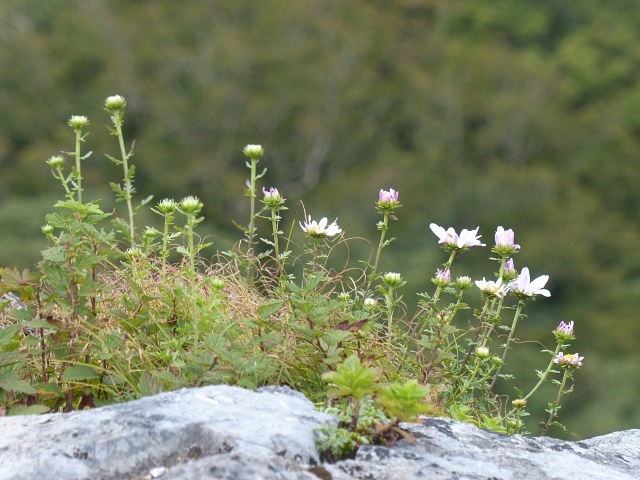 f0357487_21292777.jpg