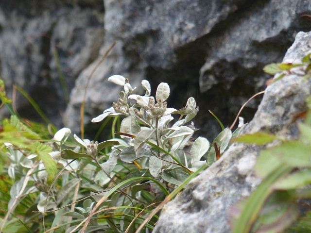 f0357487_21314237.jpg