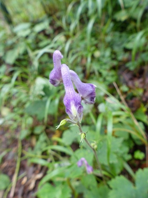 f0357487_21341624.jpg