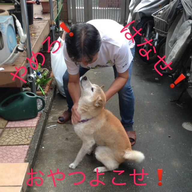 c0123890_2055427.jpg
