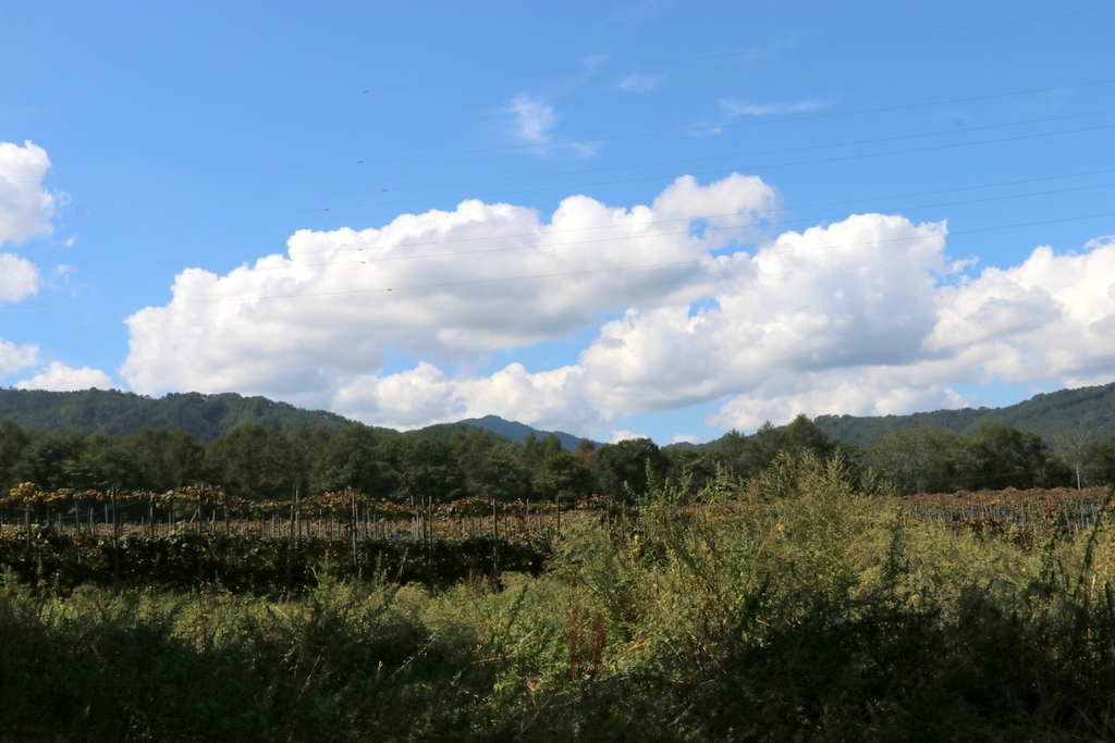 f0238398_14500714.jpg