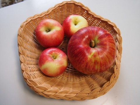 c0117007_1646688.jpg