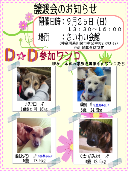 d0317612_15225847.png
