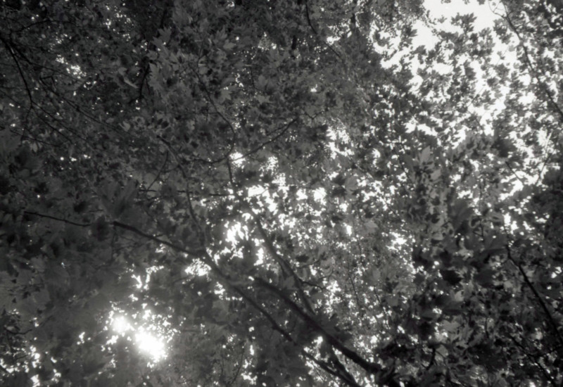 d0339617_14233257.jpg
