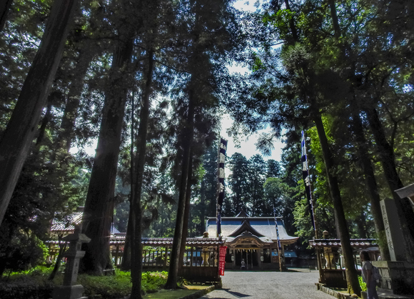 f0363618_12514154.jpg