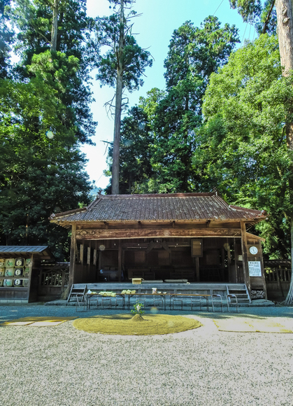 f0363618_1252543.jpg