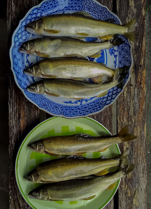 f0363618_1634196.jpg
