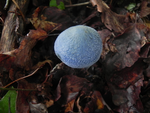 e0352220_23280109.jpg