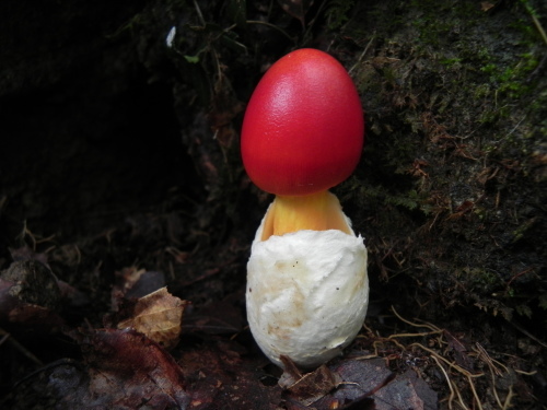 e0352220_23322280.jpg