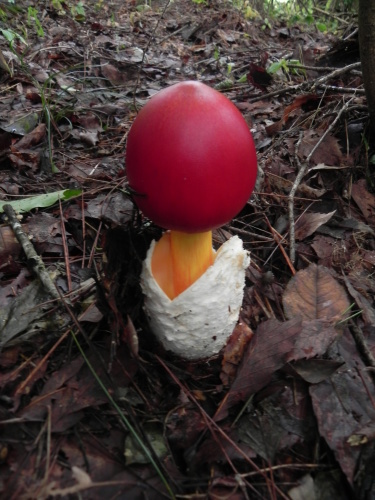 e0352220_23324543.jpg