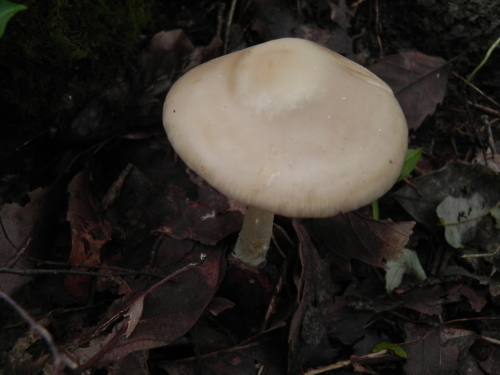 e0352220_23382173.jpg