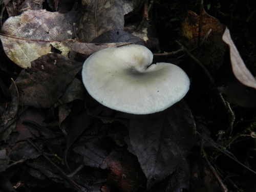 e0352220_23494585.jpg