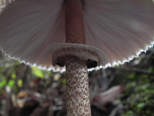 e0352220_23550405.jpg