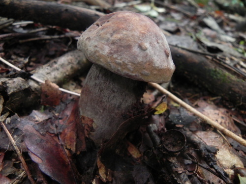 e0352220_23580460.jpg