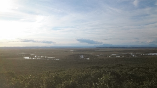 c0229433_19164370.jpg