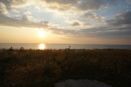 d0217833_964138.jpg