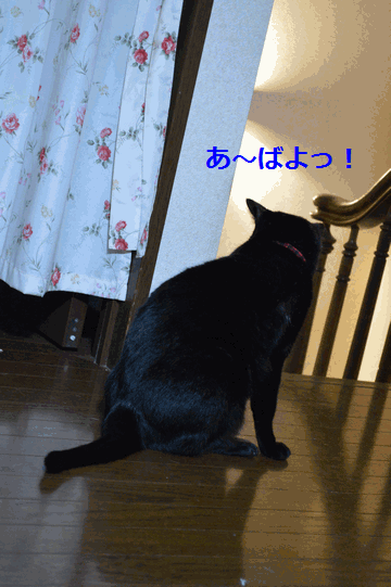 c0136736_22521960.gif