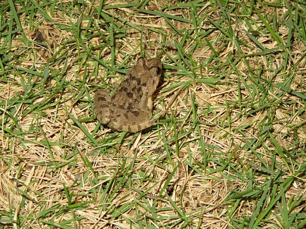 b0341140_147224.jpg