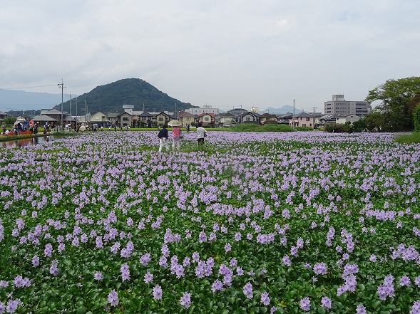 b0299042_8495196.jpg