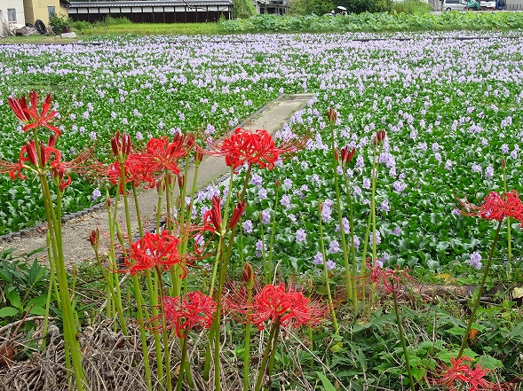 b0299042_8511770.jpg