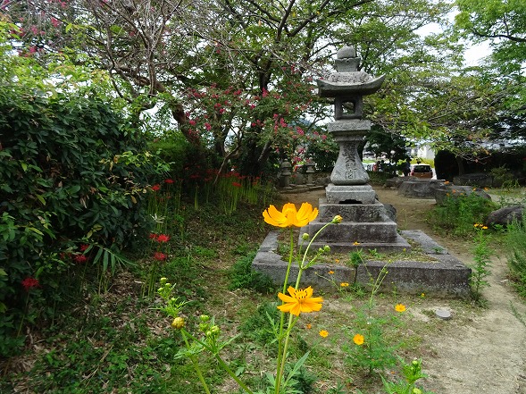 b0299042_8512550.jpg