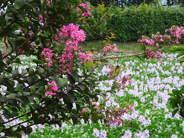 b0299042_8513523.jpg