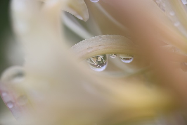 f0288049_21181273.jpg