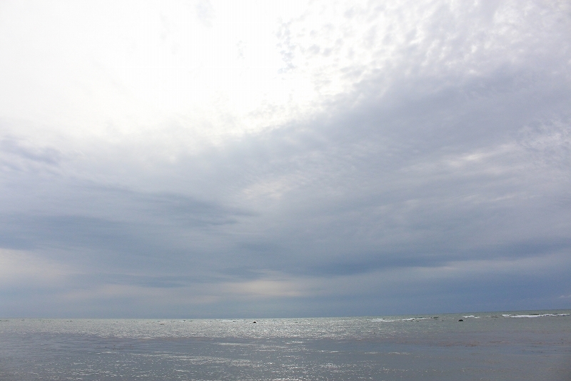 b0250154_21340821.jpg