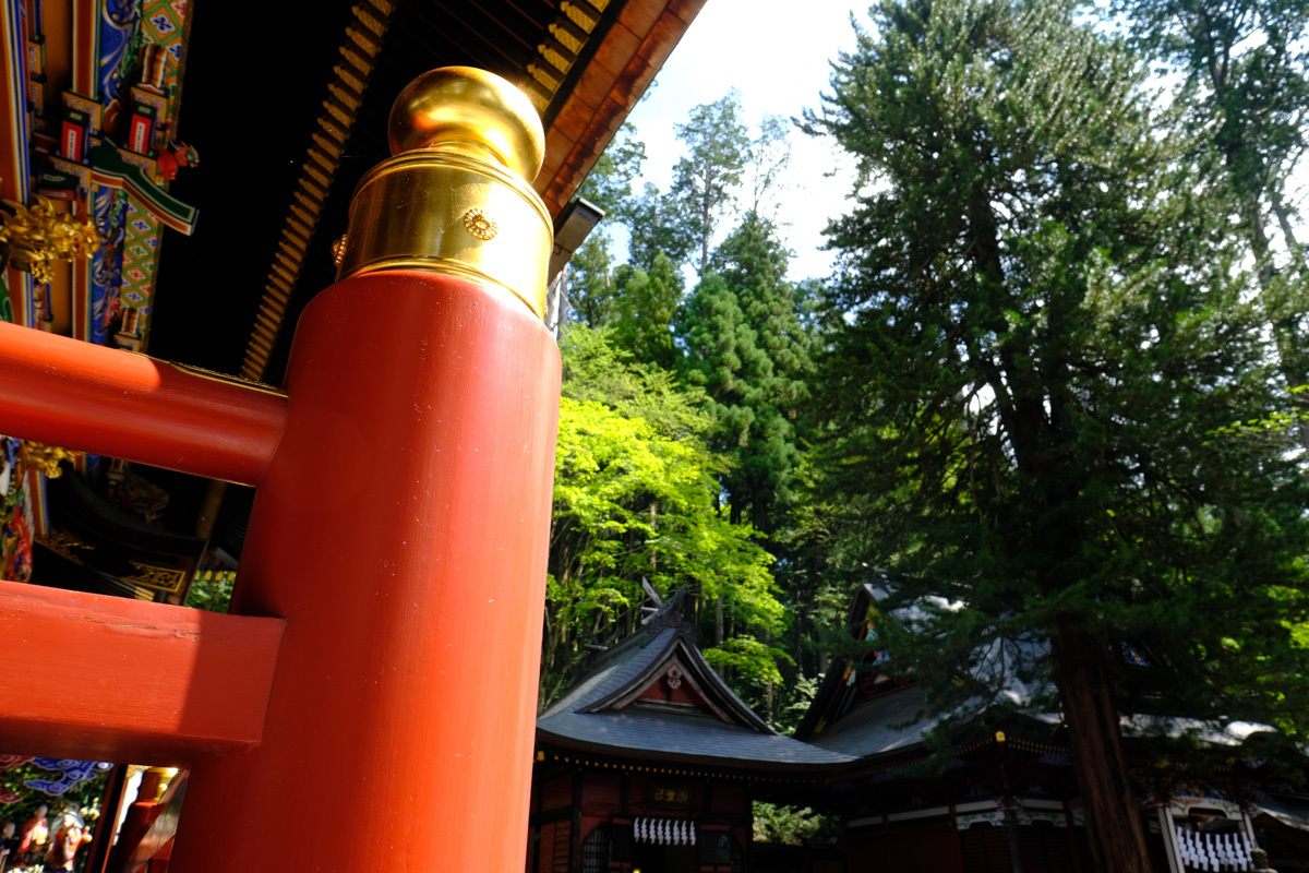 c0084666_20495269.jpg