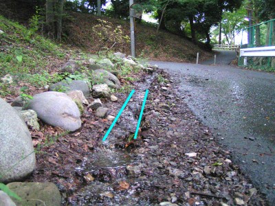 c0112172_073697.jpg