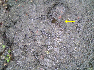 c0112172_073814.jpg