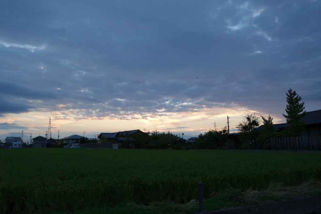 c0216472_1013851.jpg