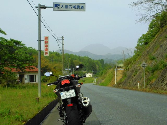 d0155582_824373.jpg