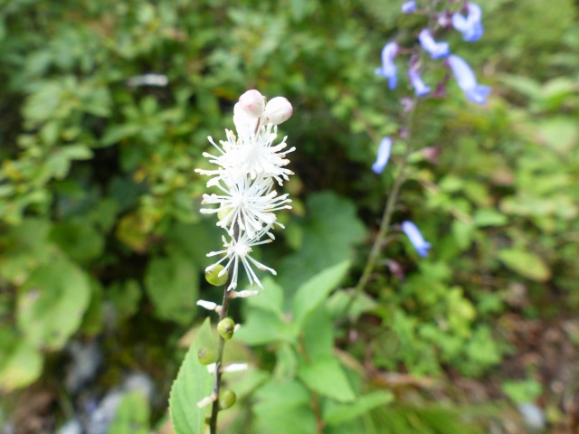 f0357487_21161693.jpg