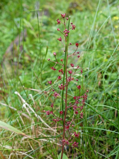 f0357487_2118184.jpg