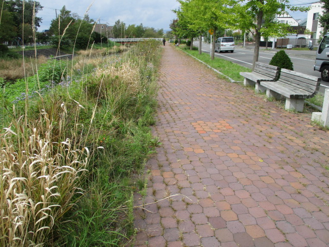 d0198793_17264769.jpg