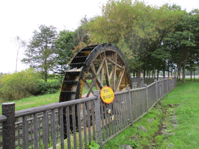 d0198793_1740397.jpg