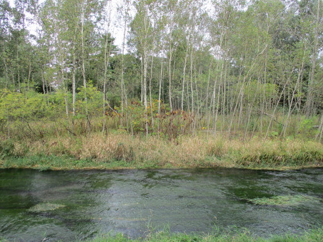 d0198793_17441158.jpg